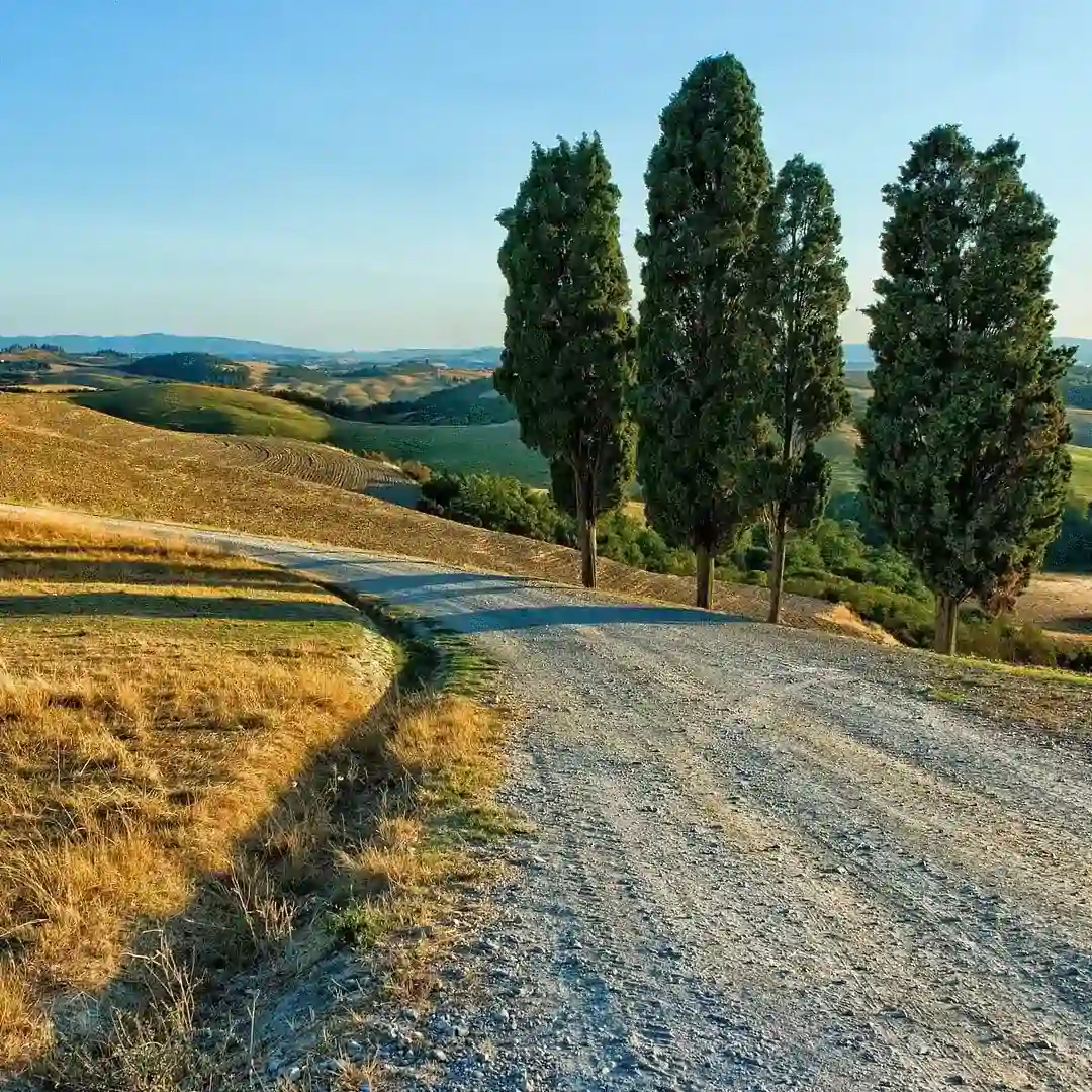 Maremma