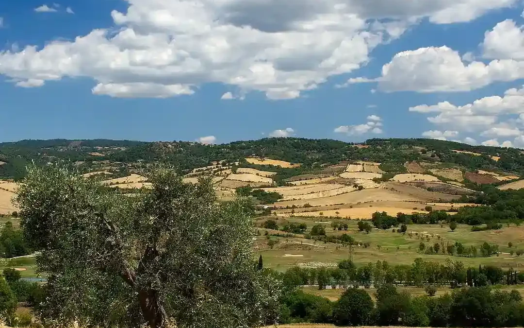 Maremma