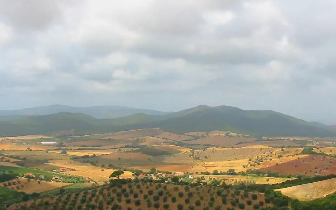Maremma