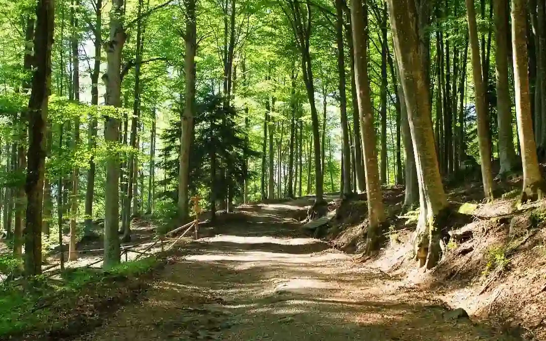 Monte Amiata