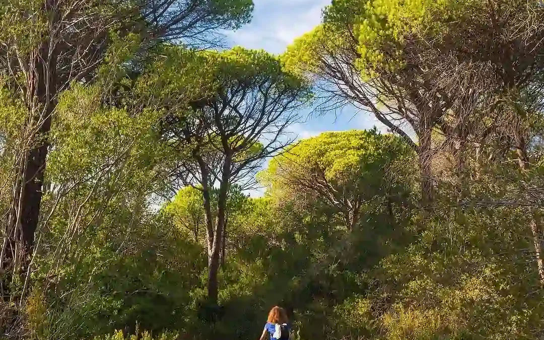 Cycling trails