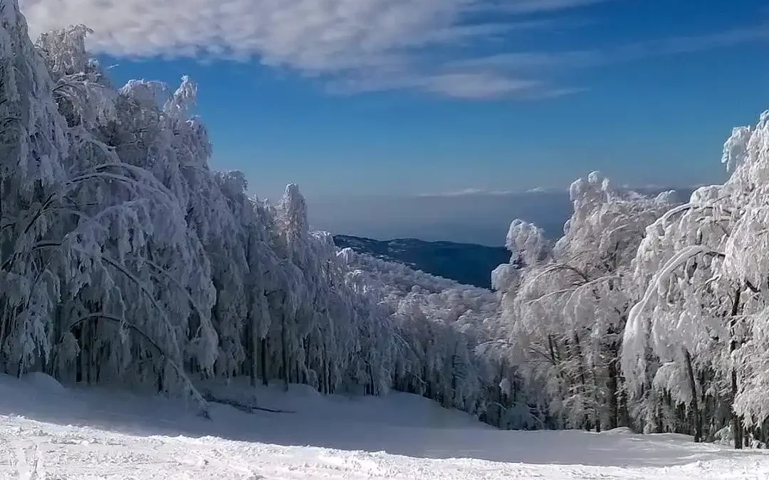 Snow