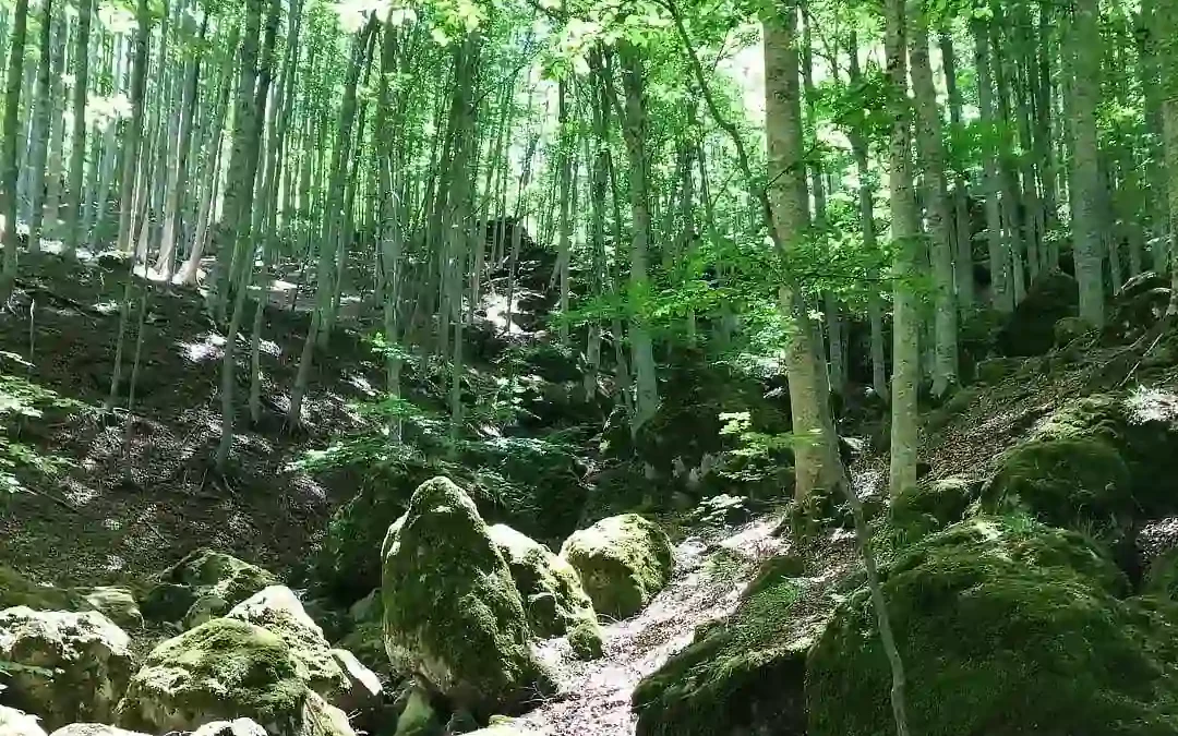 Monte Amiata