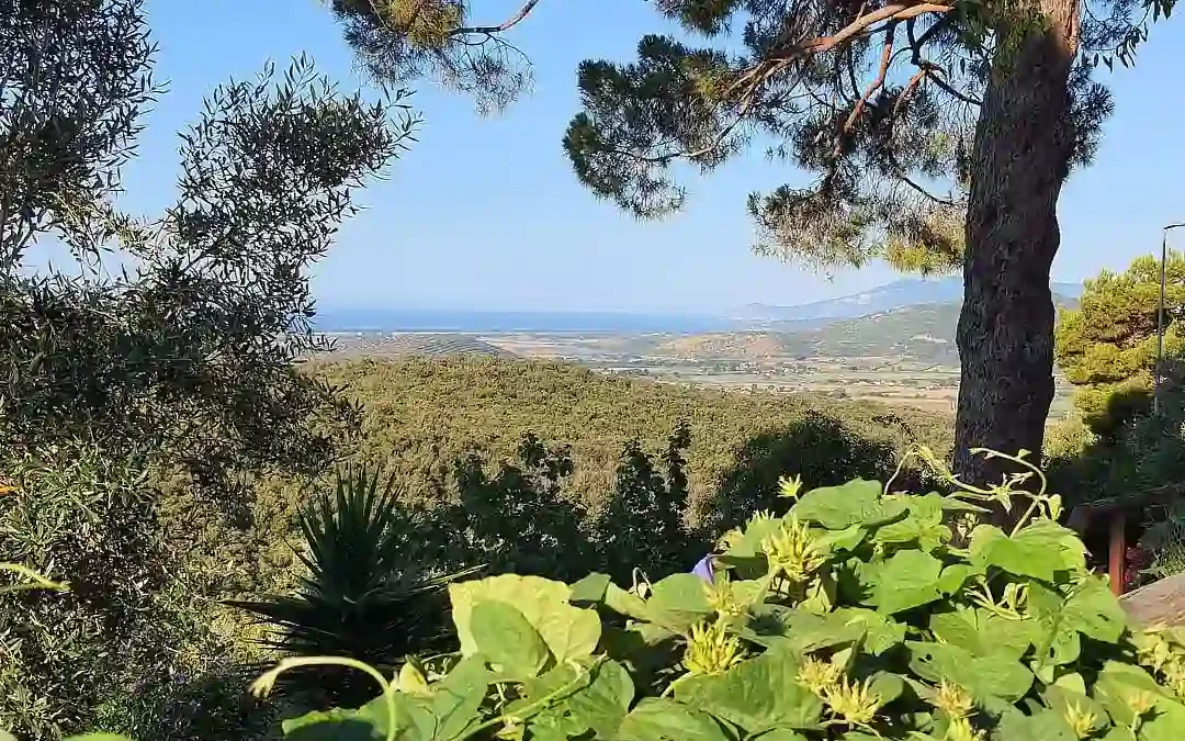 View