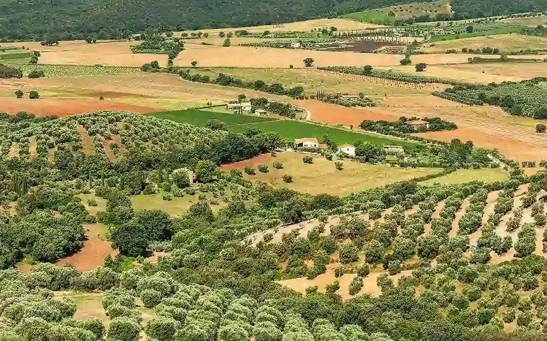 Maremma