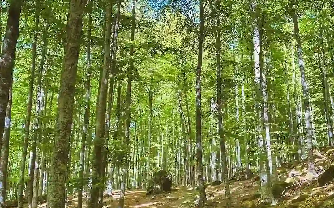 Monte Amiata