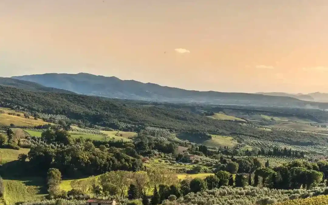 Maremma