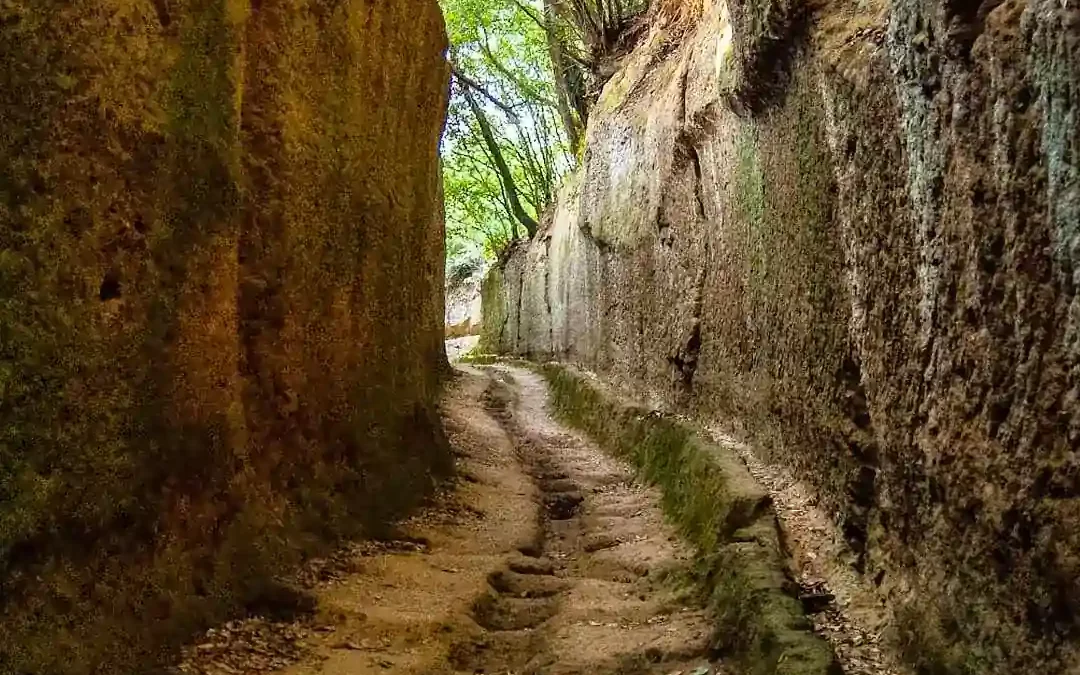 Vie Cave