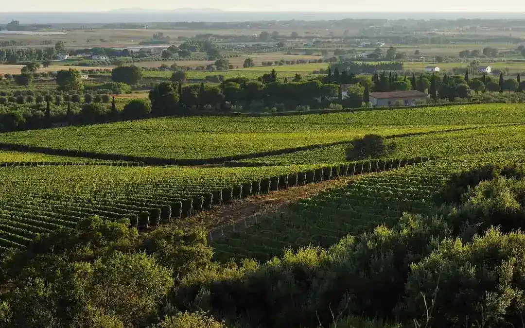 Maremma