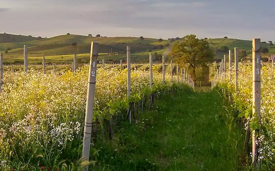 Maremma inland