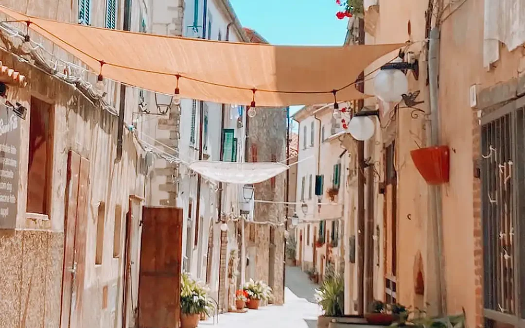 Scansano