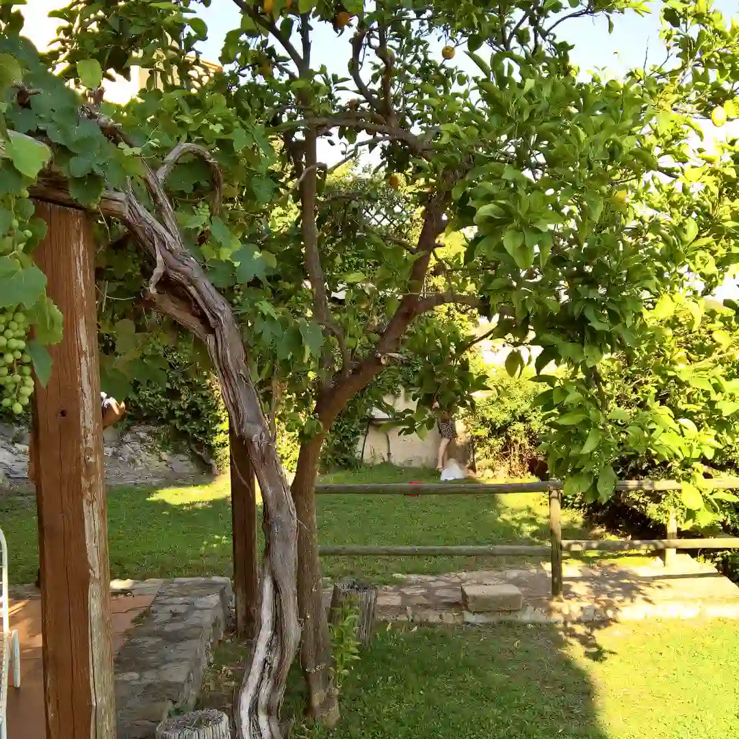 terra garden detail sq