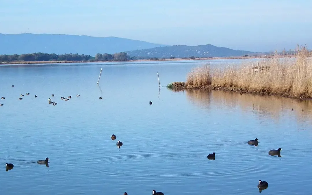 Lago di Burano