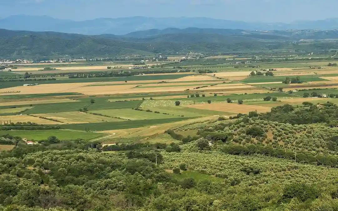 Maremma