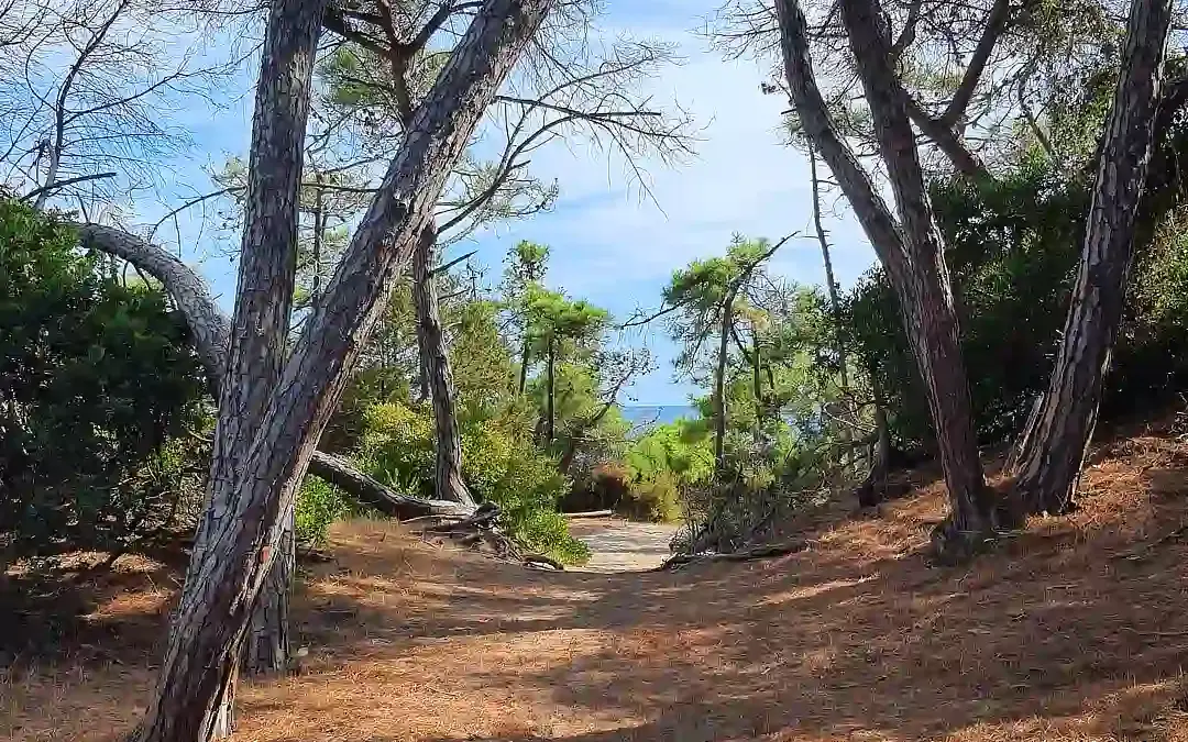 Feniglia nature reserve