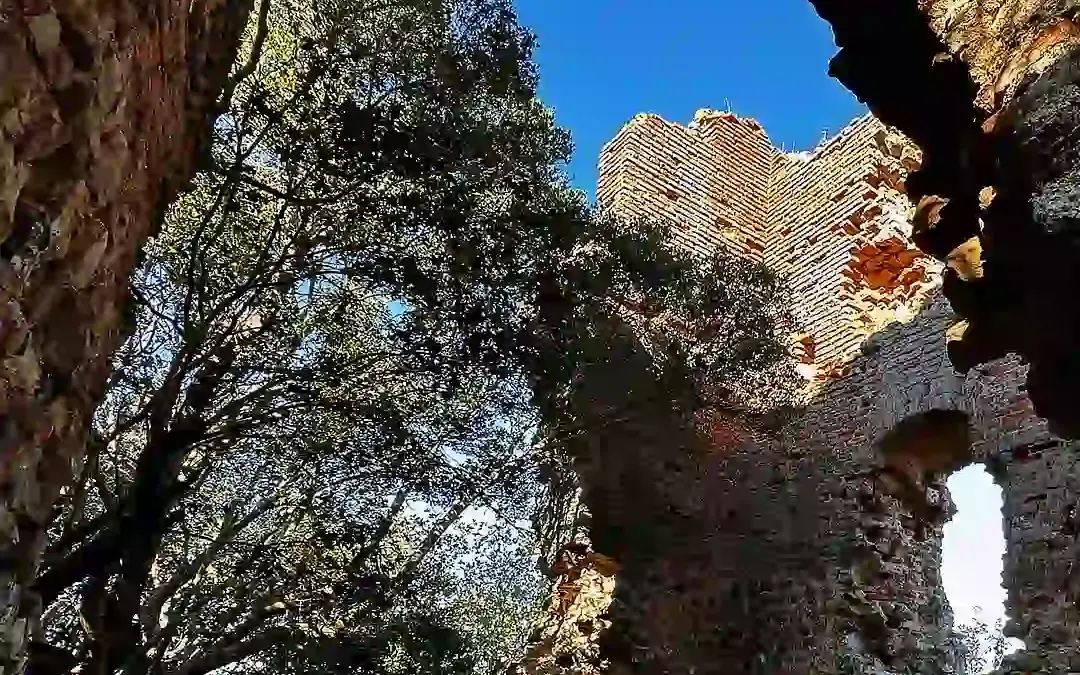Stachilagi Castle