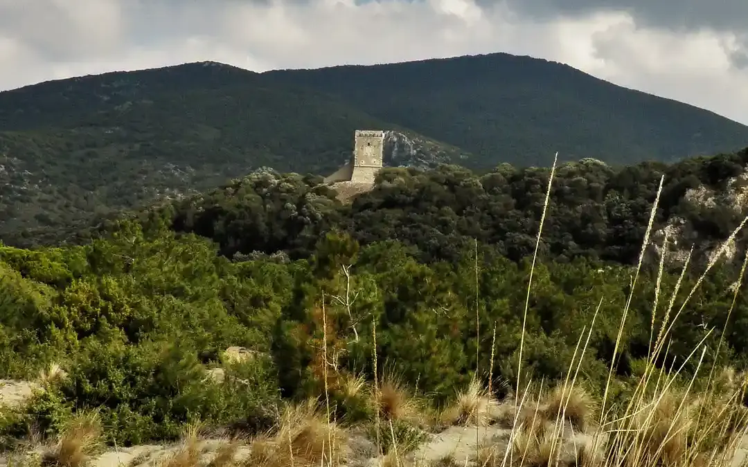 Collelungo tower